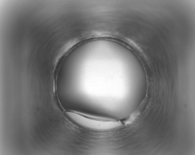 X0000066011269200603312013