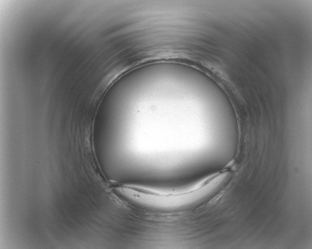 X0000066011273200603312013