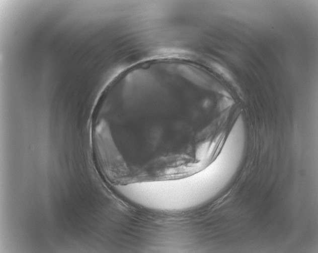 X0000066011275200603312013