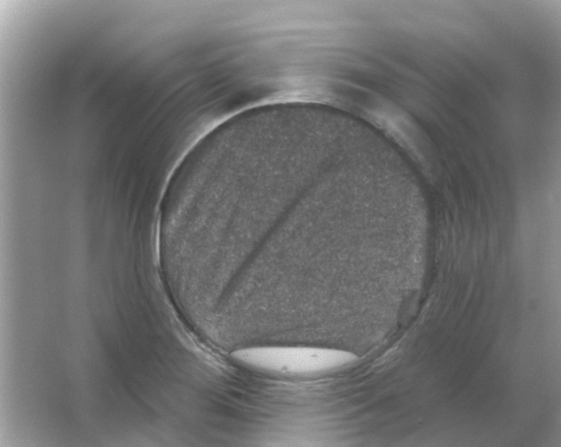 X0000066011276200603312013