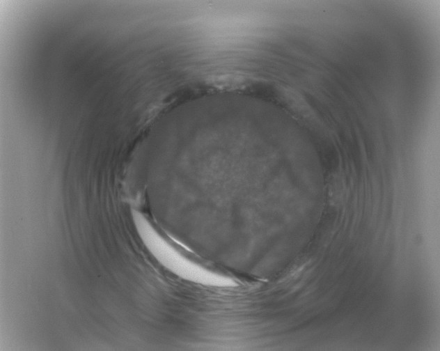 X0000066011298200603312012