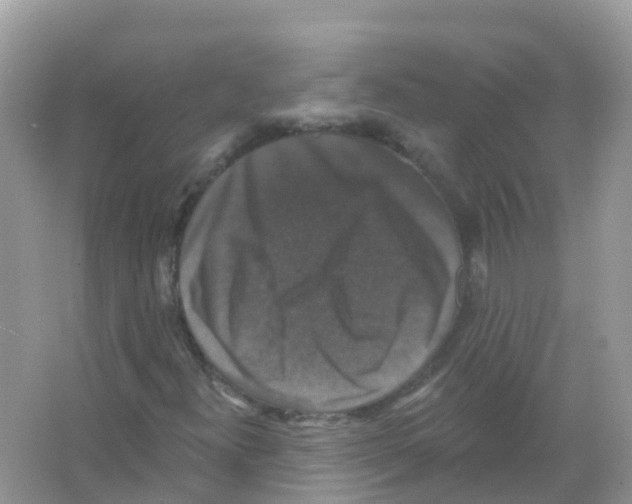 X0000066011300200603312012