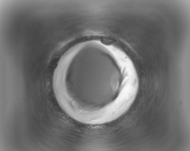 X0000066011303200603312012