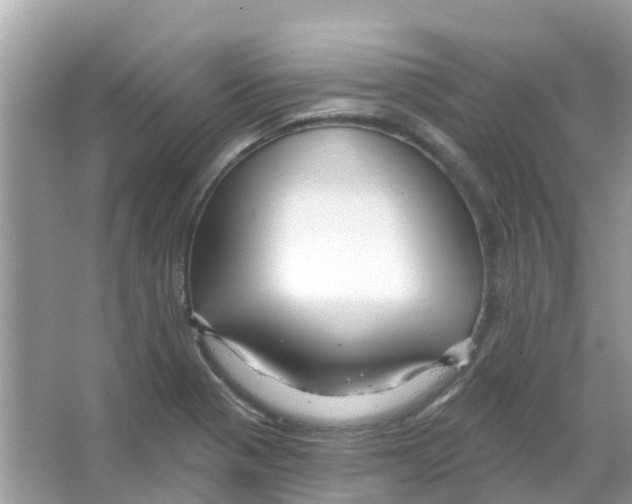 X0000066011321200603312013