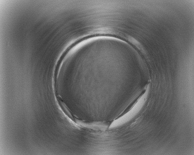 X0000066011334200603312013