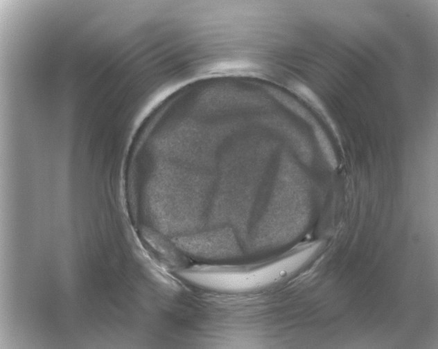 X0000066011336200603312013