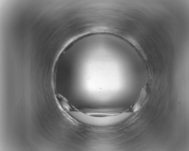 X0000066011342200603312013