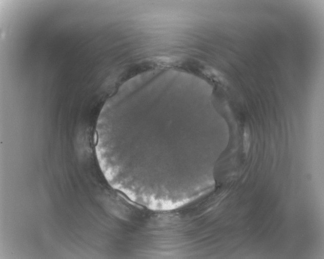 X0000066011346200603312012