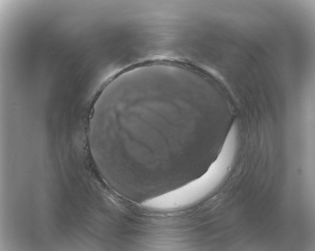 X0000066011359200603312012