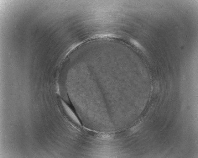 X0000066011361200603312012