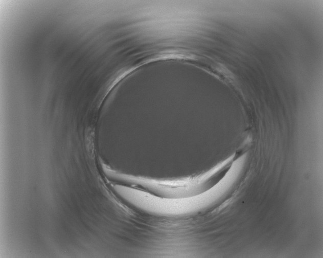 X0000066011369200603312012