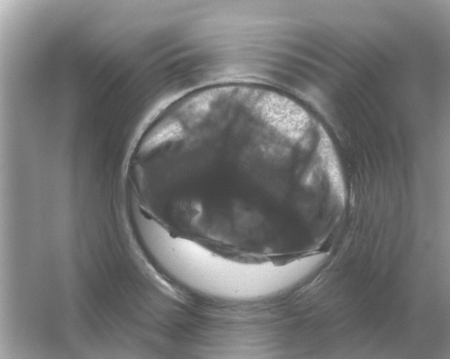 X0000066011371200603312012
