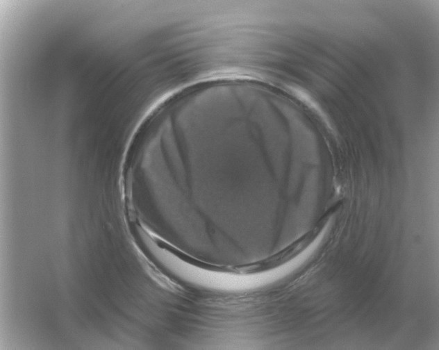 X0000066011372200603312012