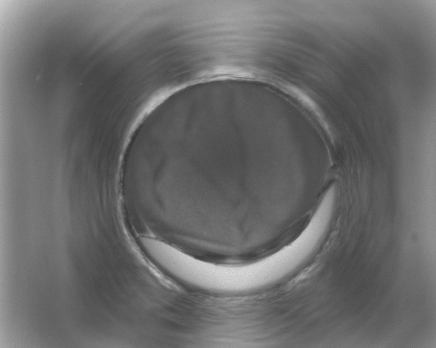 X0000066011373200603312012