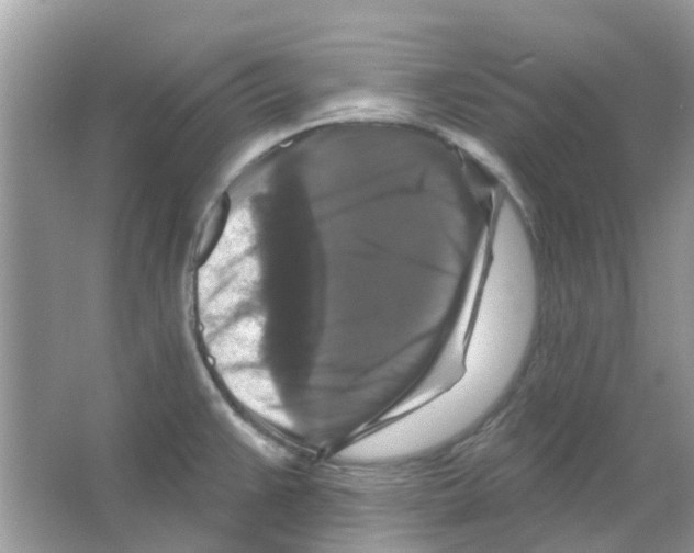 X0000066011383200603312011