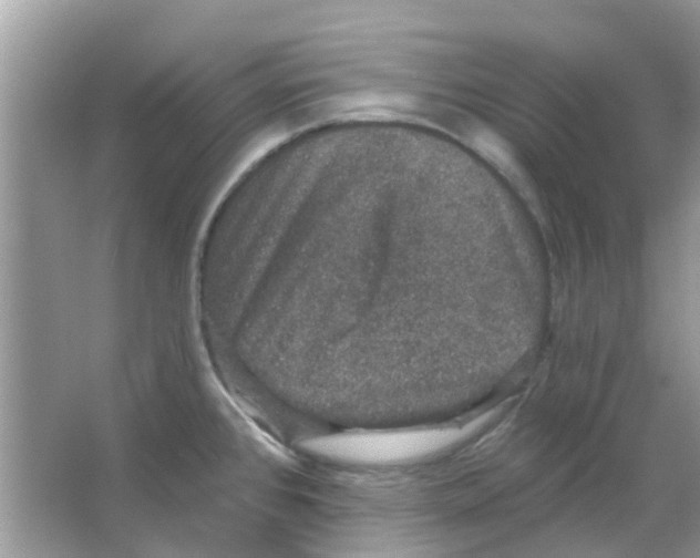 X0000066011384200603312011