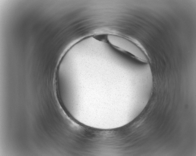 X0000066011387200603312011