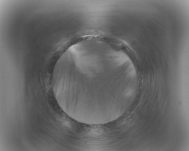 X0000066011399200603312011