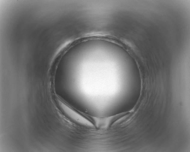 X0000066011406200603312011