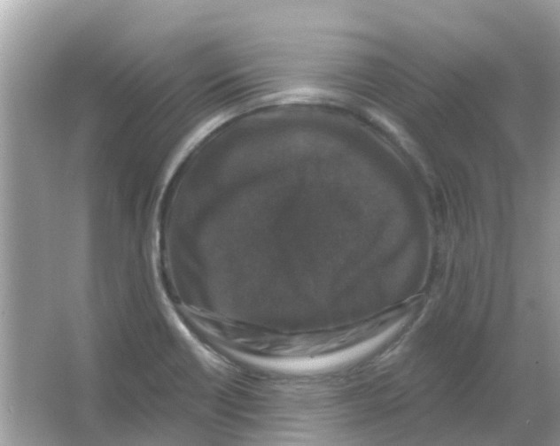 X0000066011418200603312011