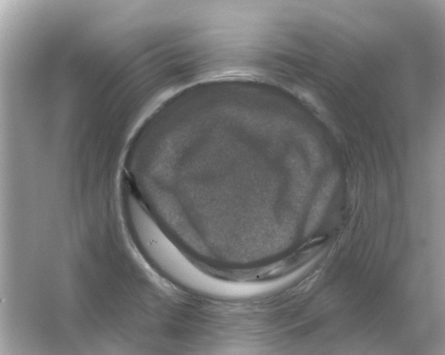 X0000066011422200603312011
