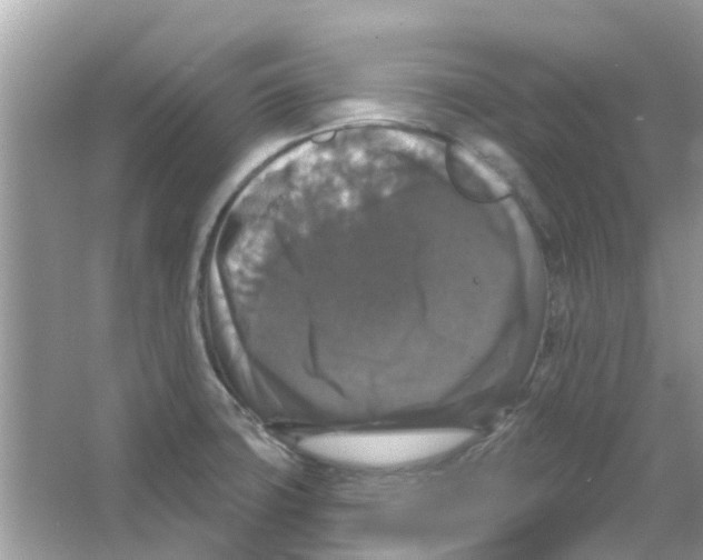 X0000066011427200603312011