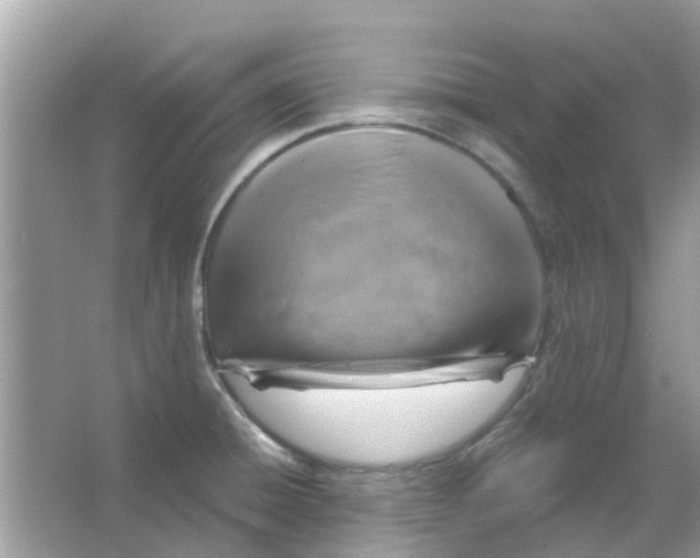 X0000066011428200603312011