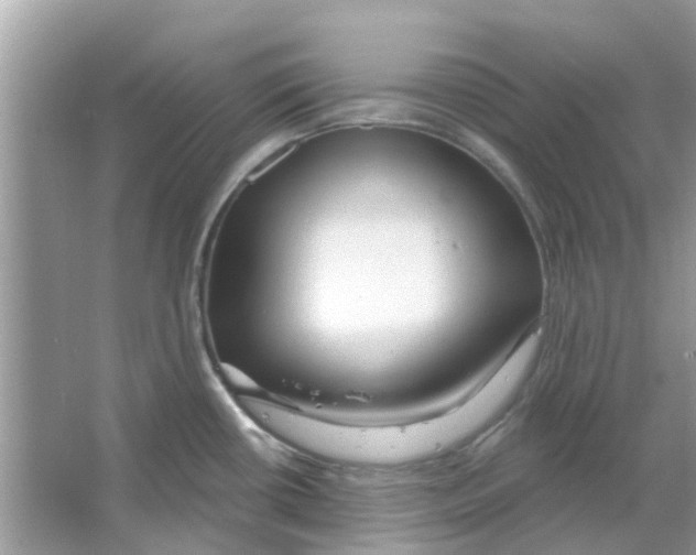 X0000066011434200603312011