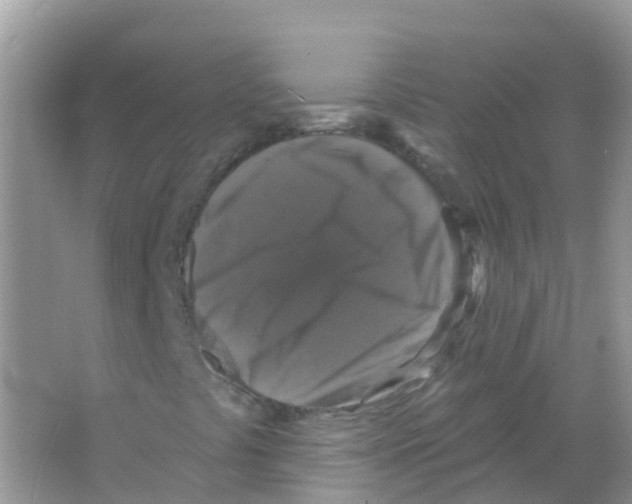 X0000066011441200603312011