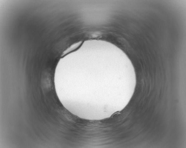 X0000066011442200603312011