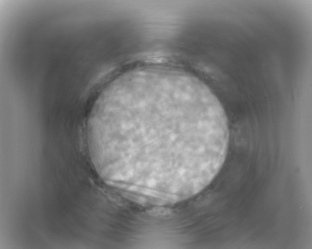 X0000066011446200603312010