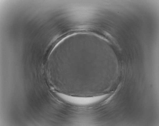 X0000066011449200603312010