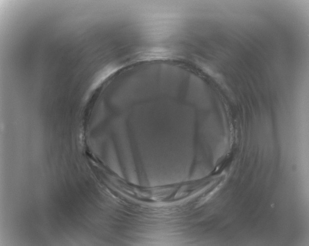 X0000066011453200603312010