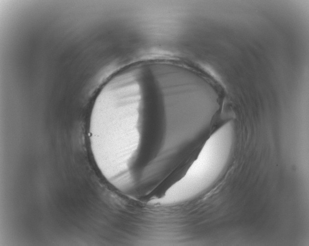 X0000066011455200603312010