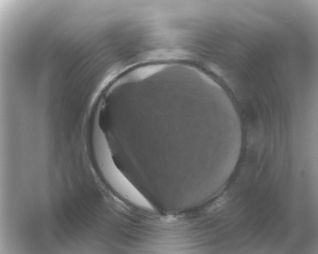 X0000066011459200603312010