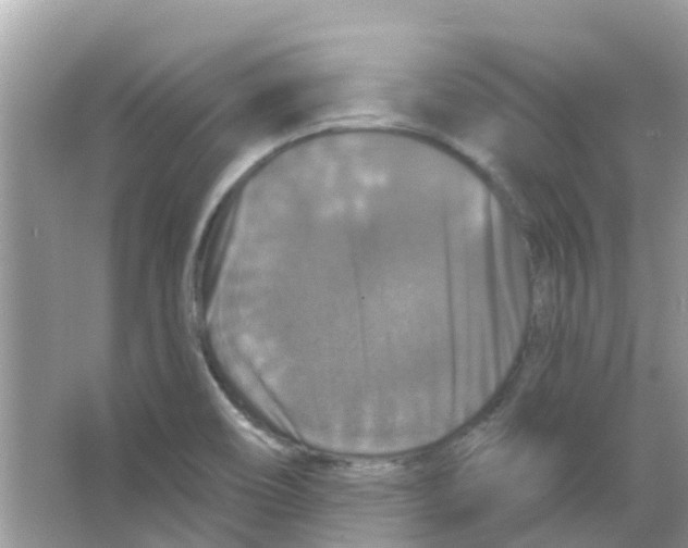X0000066011466200603312010