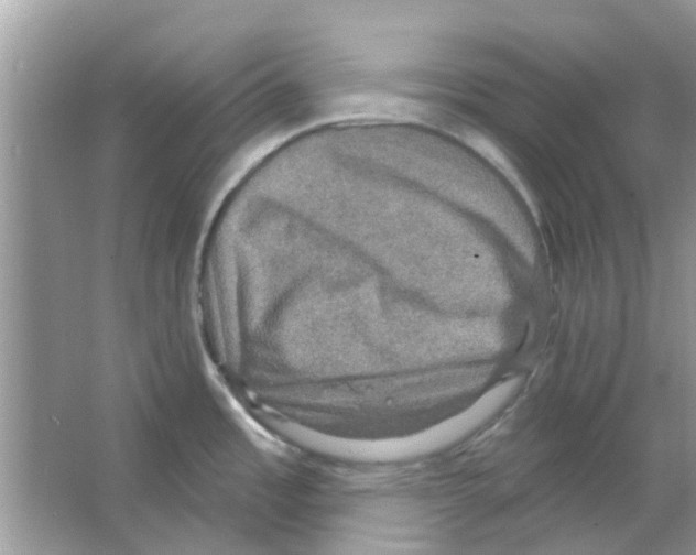 X0000066011485200603312010