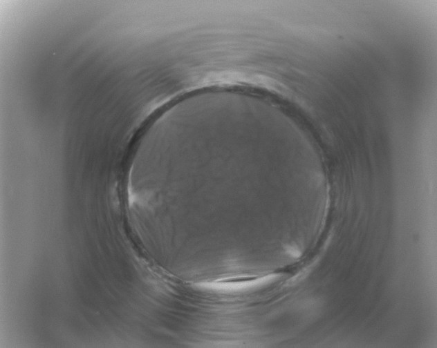X0000066011497200603312009