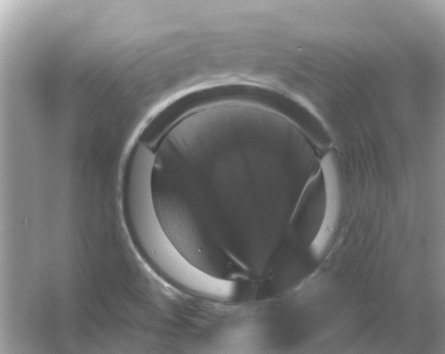 X0000066011508200603312009