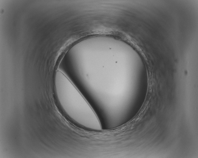 X0000066020011200603031040
