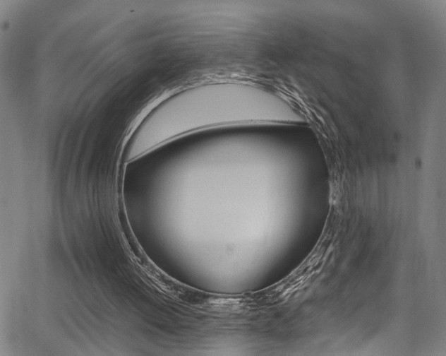 X0000066020052200603031038