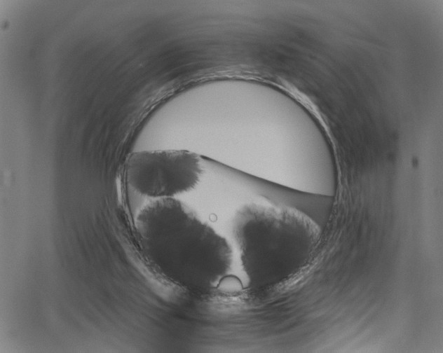 X0000066020061200603031039