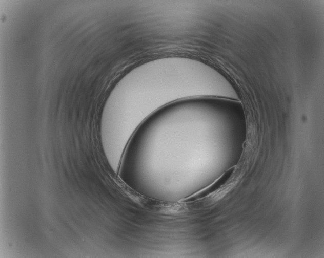 X0000066020096200603031039