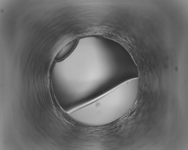 X0000066020100200603031038