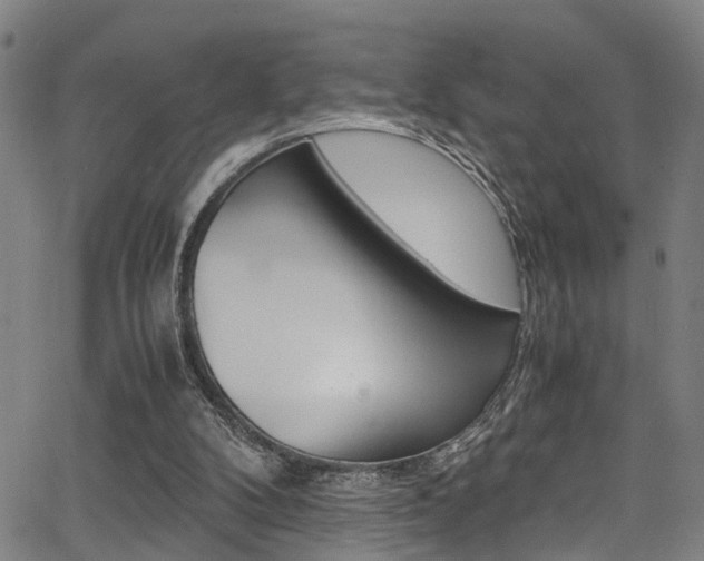 X0000066020104200603031038
