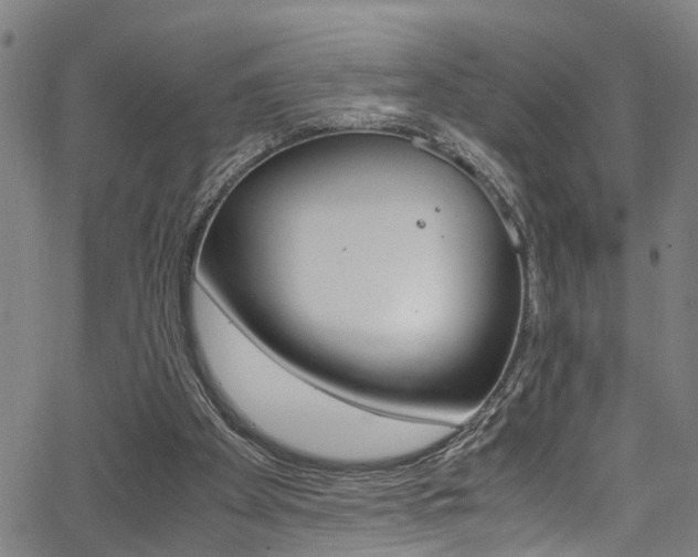X0000066020105200603031038