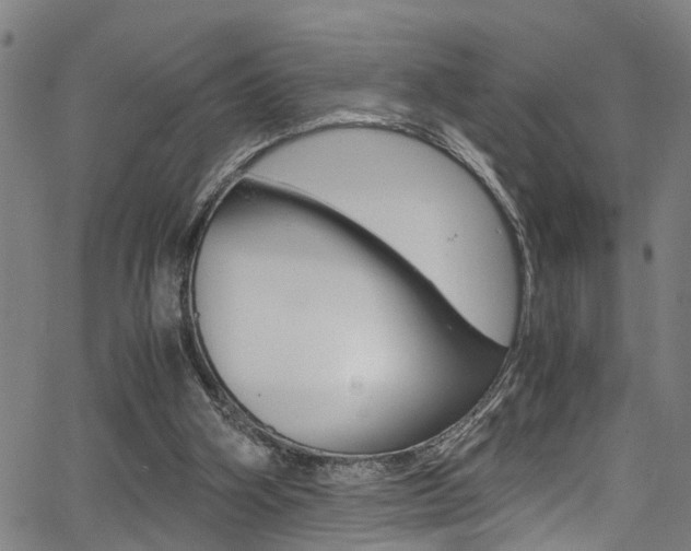 X0000066020106200603031038