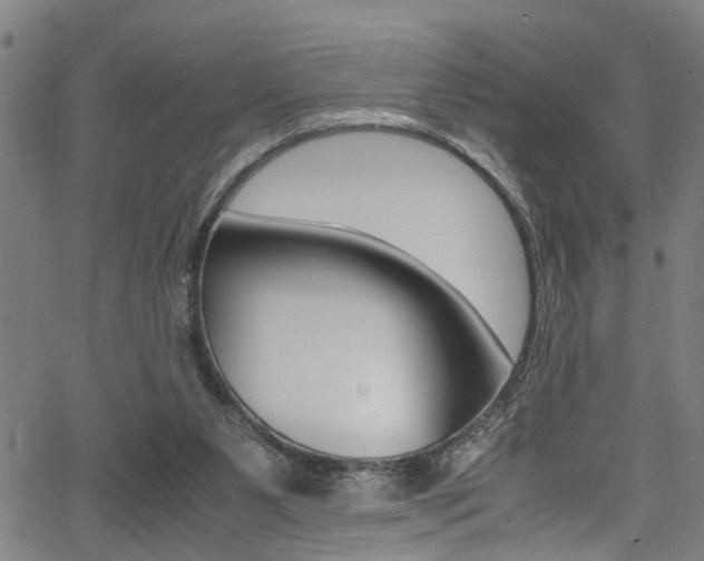 X0000066020111200603031038