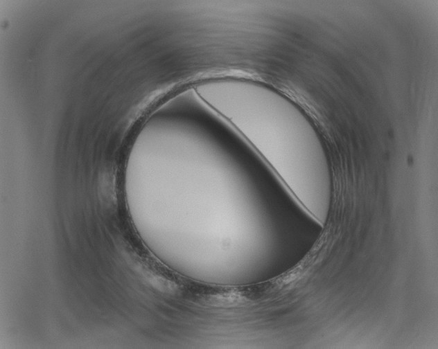 X0000066020112200603031038