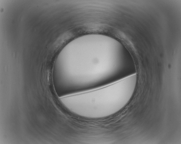 X0000066020115200603031038